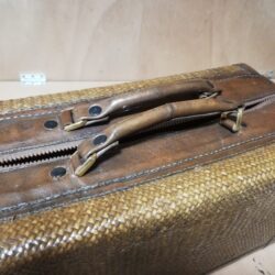 IMG_20240328_085924 IMG_20240328_085924